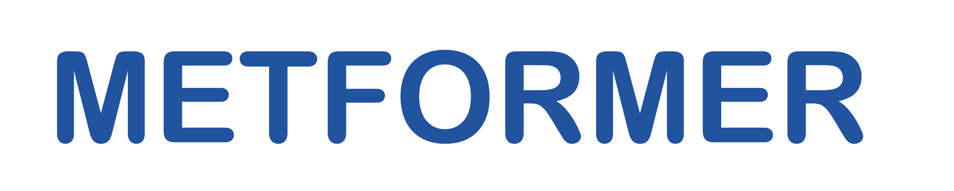 Metformer